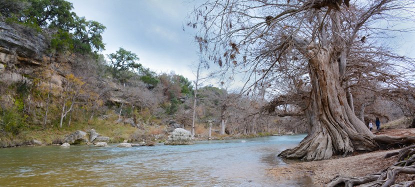 Guadalupe River State Park: why camp